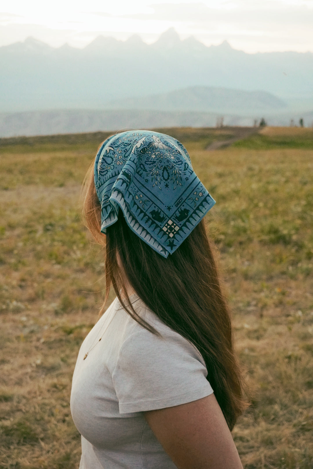 The Taggart Bandana