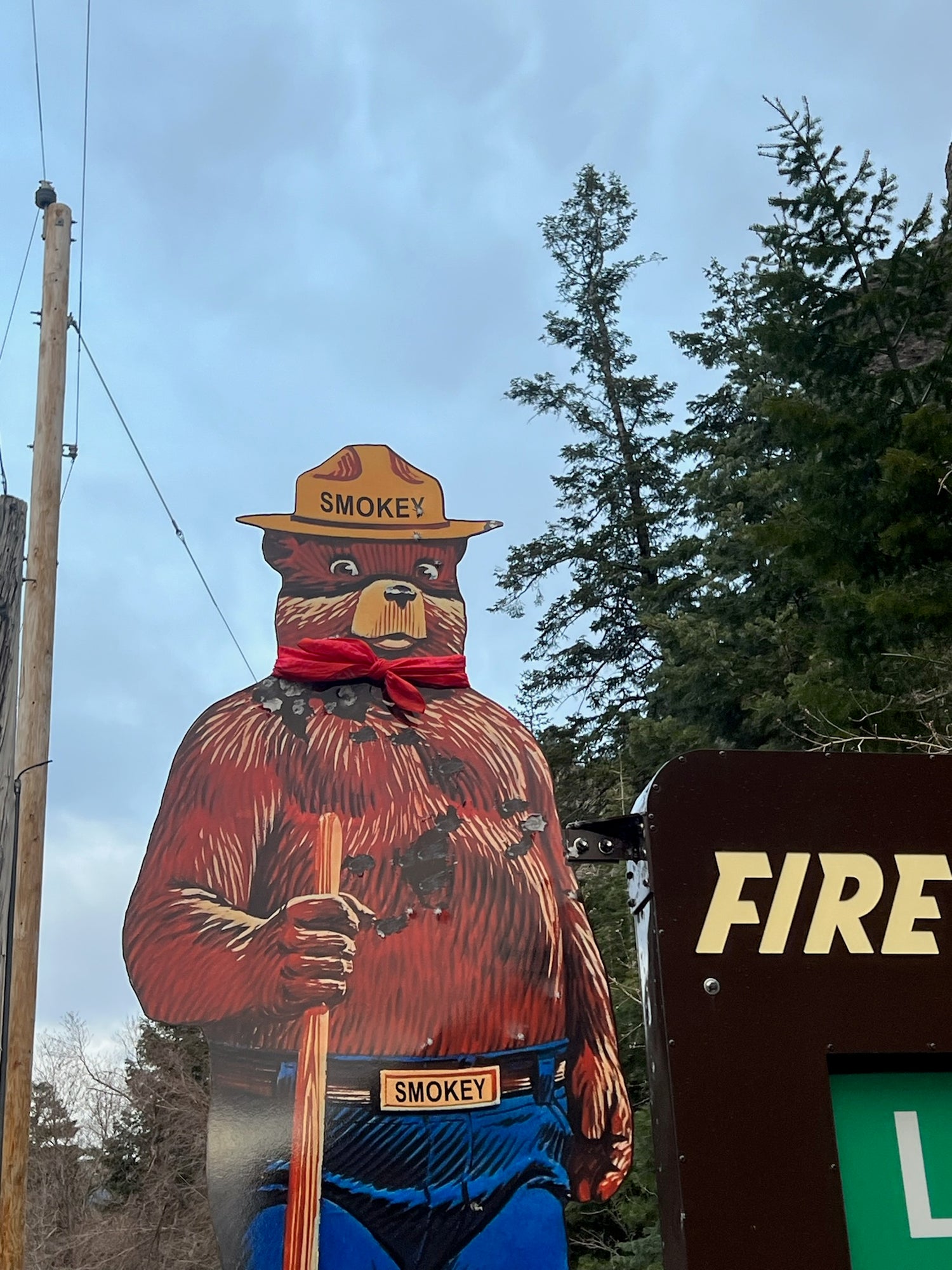 smokey the bear with a bandana